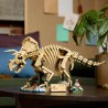 77985 LEGO® Jurassic World - Вкаменелости от динозаври: трицератопс